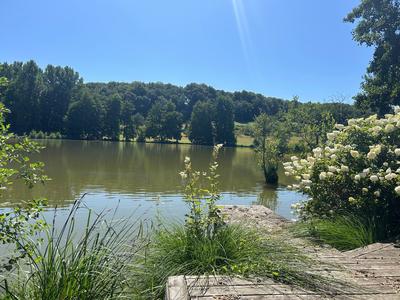 Maison - 371 m² - 7 pièces