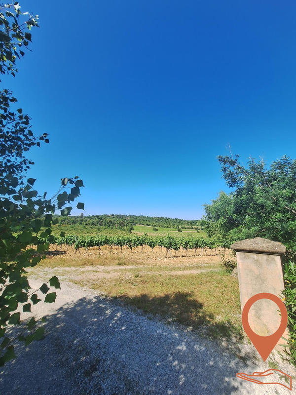 Viager - Villa - 272 m² - 6 pièces