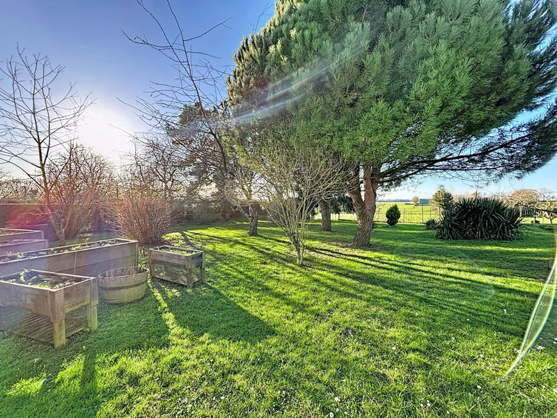 Maison - 240 m² - 8 pièces