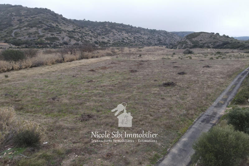 Terrain agricole - 9 980 m²