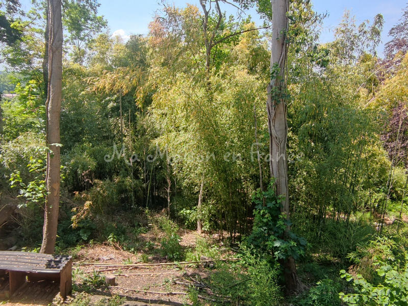 Maison - 300 m² - 12 pièces