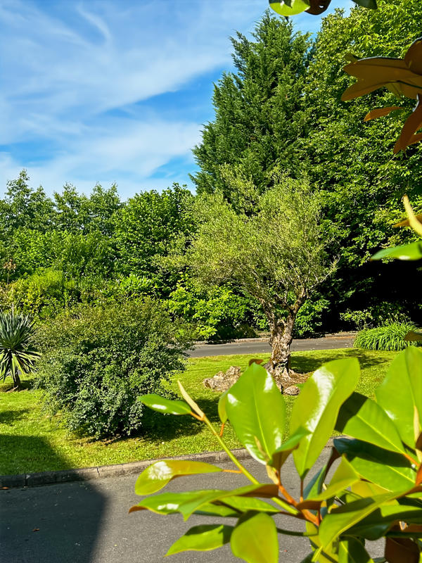 Maison - 215 m² - 8 pièces