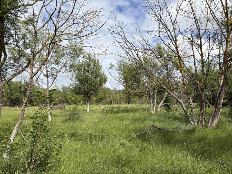 Terrain de loisirs - 3 800 m²