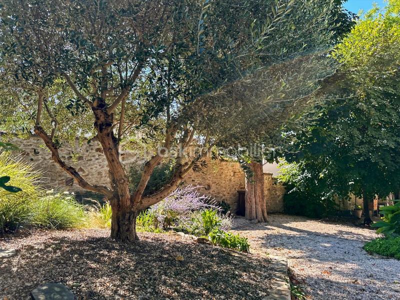 Maison bourgeoise - 233 m² - 8 pièces