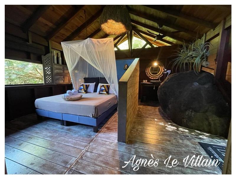 Propriété - 494 m² - 14 pièces