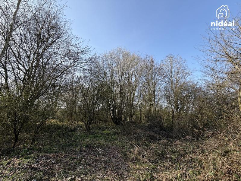 Terrain agricole - 4 645 m²