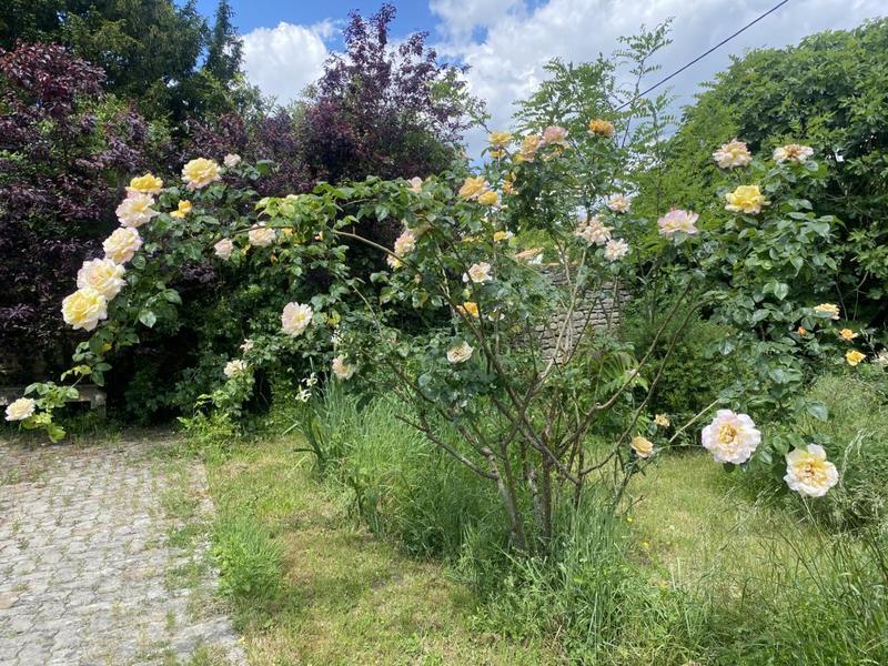 Maison de village - 158 m² - 7 pièces