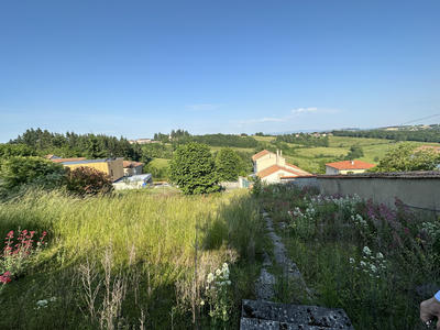 Terrain - 559 m²