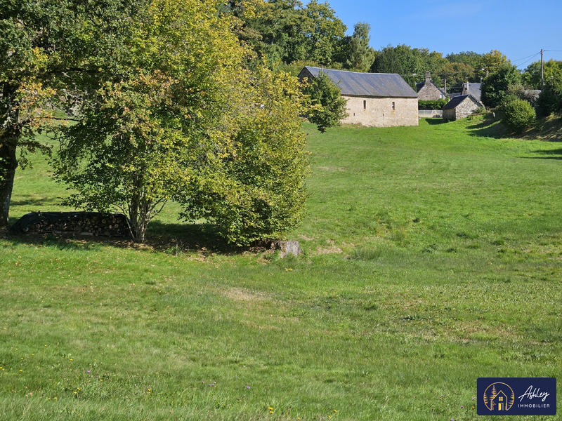 Maison ancienne - 156 m² - 7 pièces