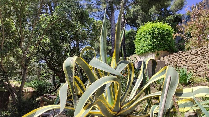 Maison - 360 m² - 16 pièces