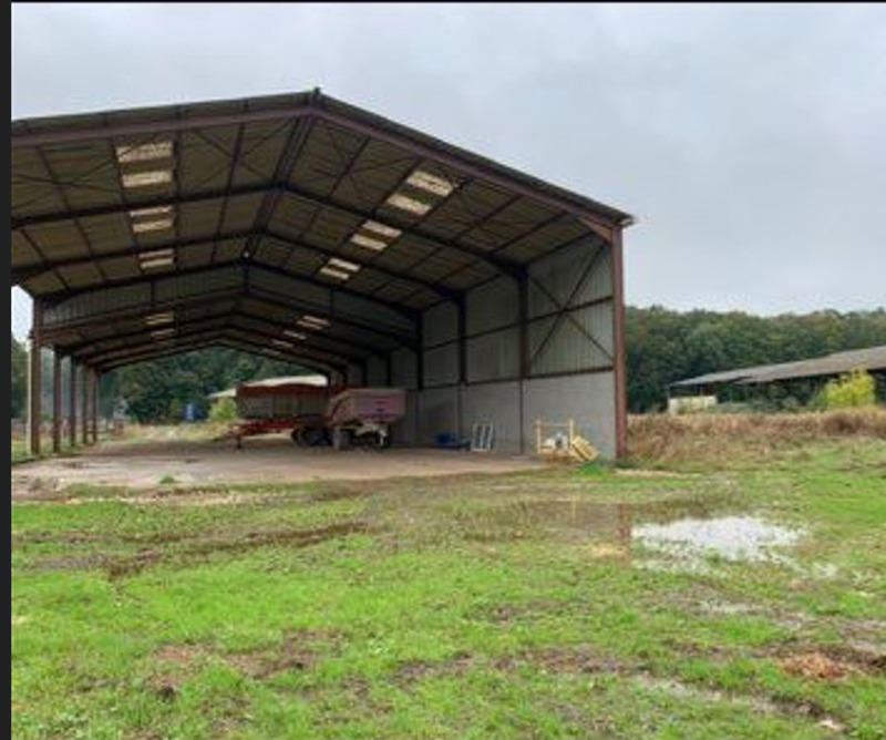 Hangar - 4 300 m²