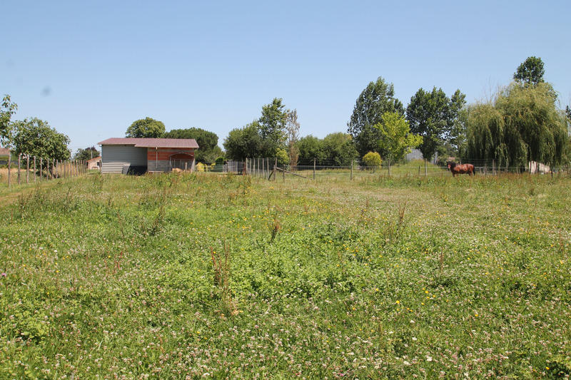 Terrain constructible - 5 800 m²