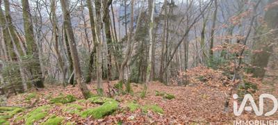 Terrain - 61 700 m²