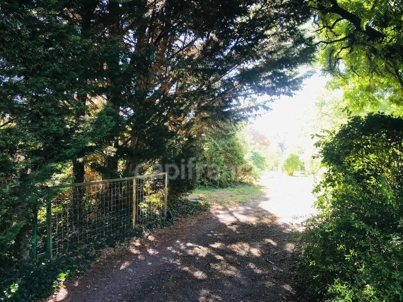 Terrain constructible - 9 346 m²