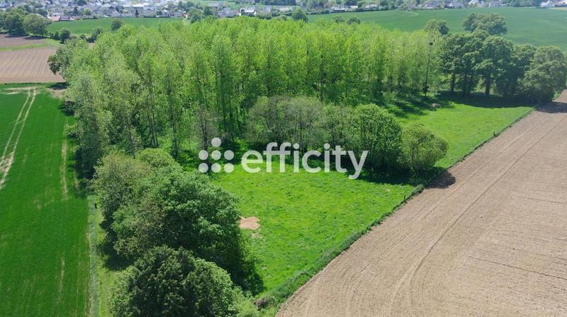 Maison de domaine équestre - 165 m² - 8 pièces