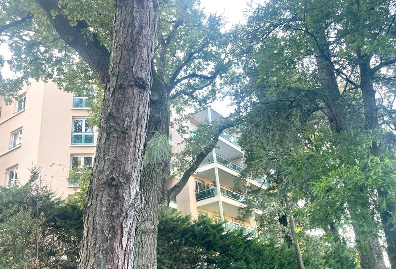 Penthouse - 87 m² - 3 pièces