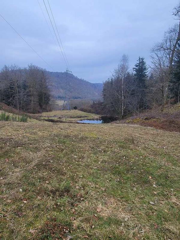 Ferme - 126 m² - 5 pièces