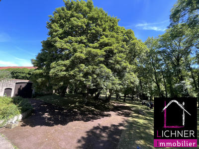 Maison - 373 m² - 10 pièces