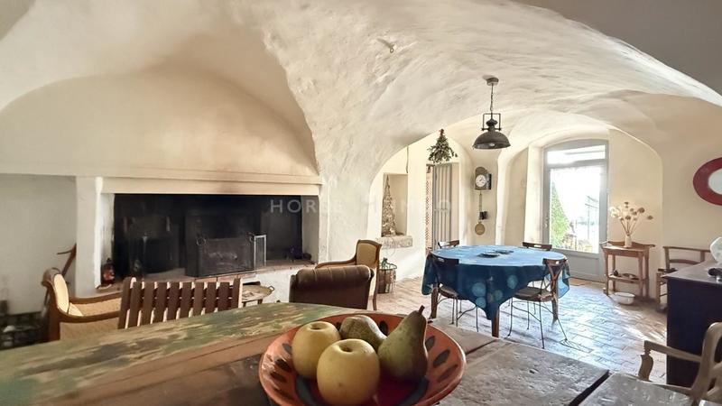 Mas - 597 m² - 22 pièces