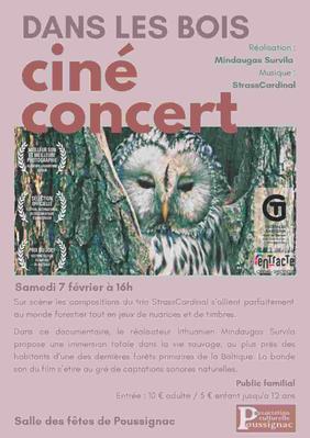 Ciné concert : Dans les bois