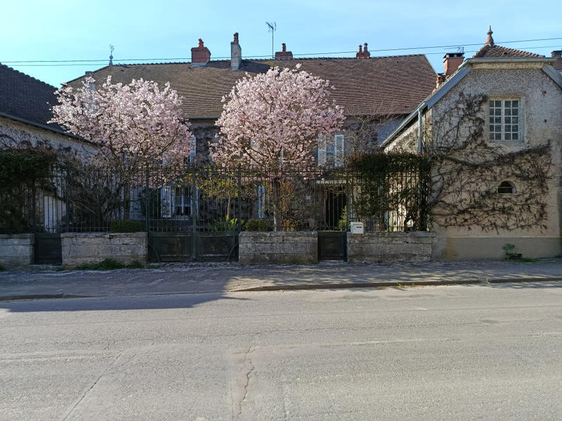 Propriété - 390 m² - 14 pièces