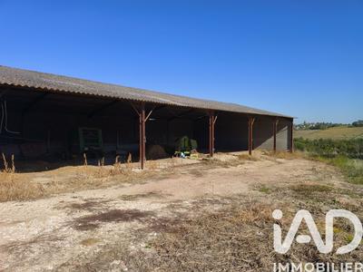 Terrain agricole - 984 462 m²