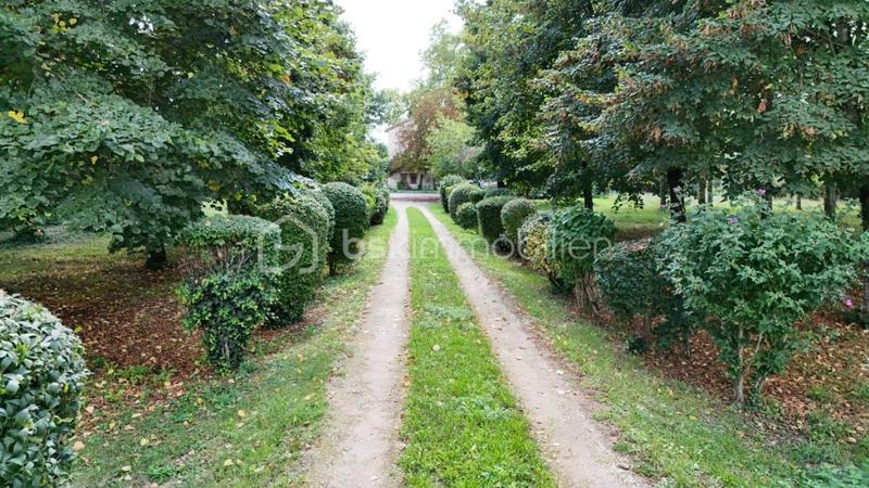 Maison ancienne - 213 m² - 7 pièces