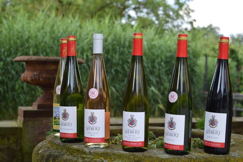 La magie au Domaine Siebert