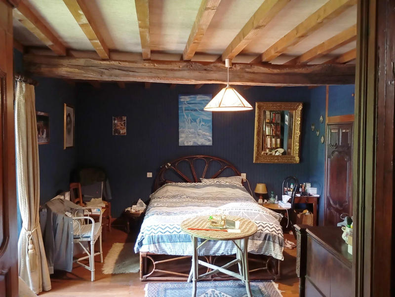 Viager - Maison - 170 m² - 5 pièces