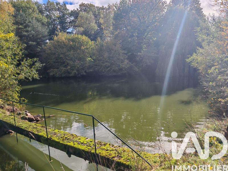 Terrain - 113 246 m²