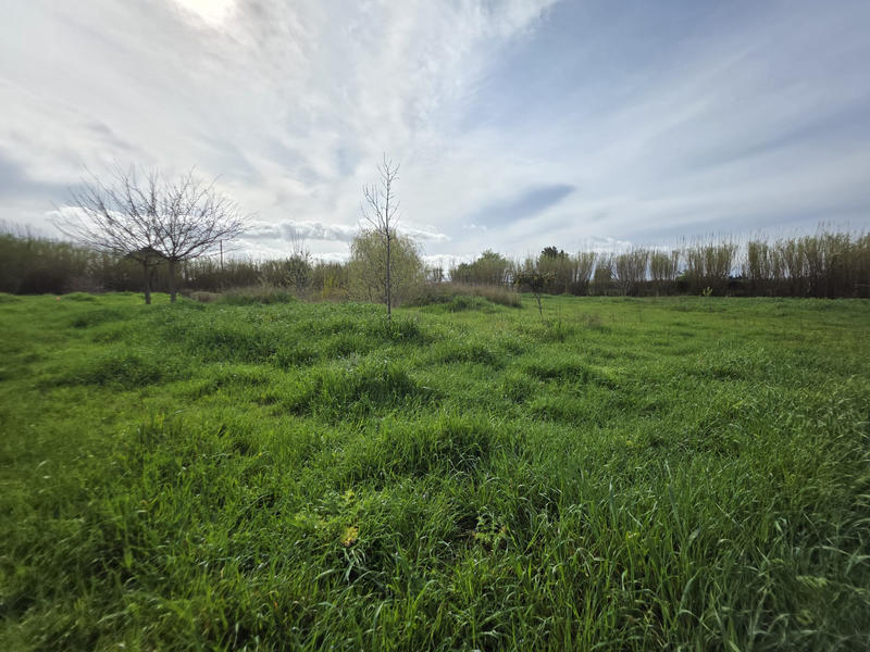 Terrain agricole - 5 006 m²
