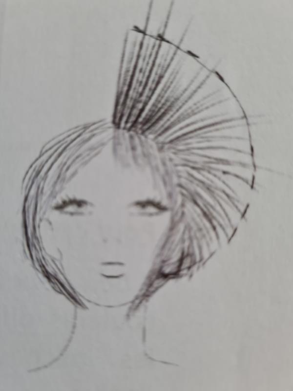 Offre de services coiffure Hommes et Femmes