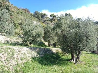 Villa - 54 m² - 3 pièces