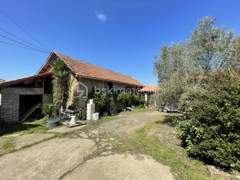 Propriété - 700 m² - 26 pièces