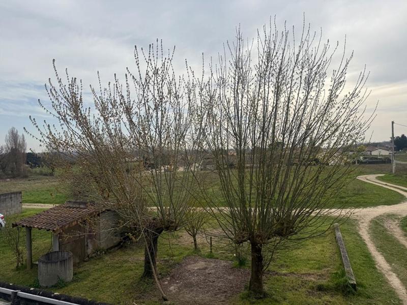 Immeuble - 252 m² - 11 pièces