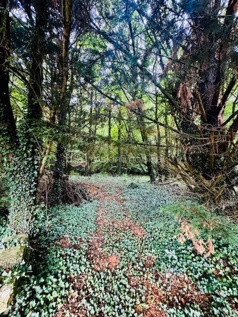 Maison de village - 100 m² - 6 pièces