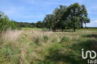 Terrain agricole - 10 042 m²