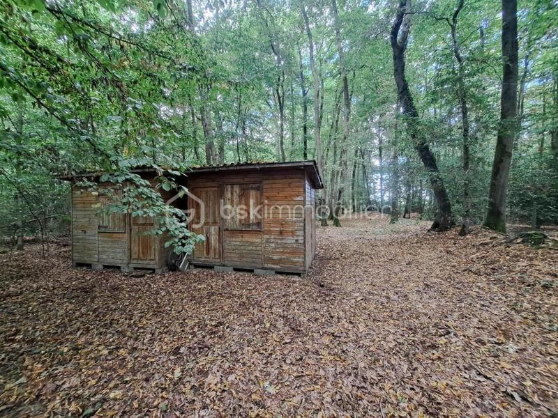 Maison - 117 m² - 4 pièces