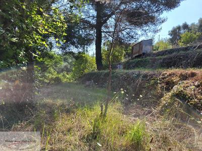 Terrain constructible - 1 222 m²