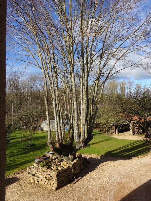 Maison - 205 m² - 7 pièces