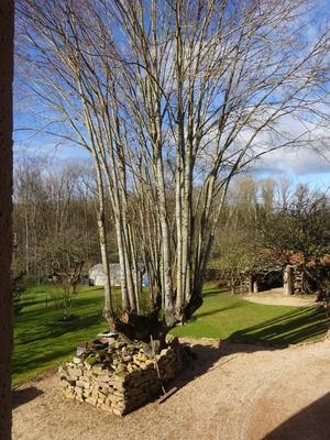 Maison - 205 m² - 7 pièces