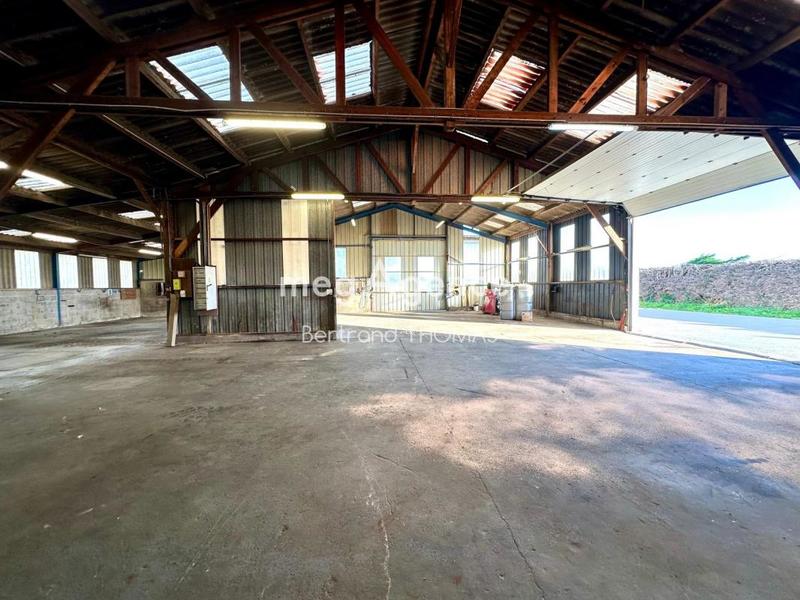 Local commercial - 3 252 m² - 6 pièces