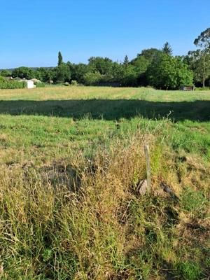 Terrain constructible - 981 m²