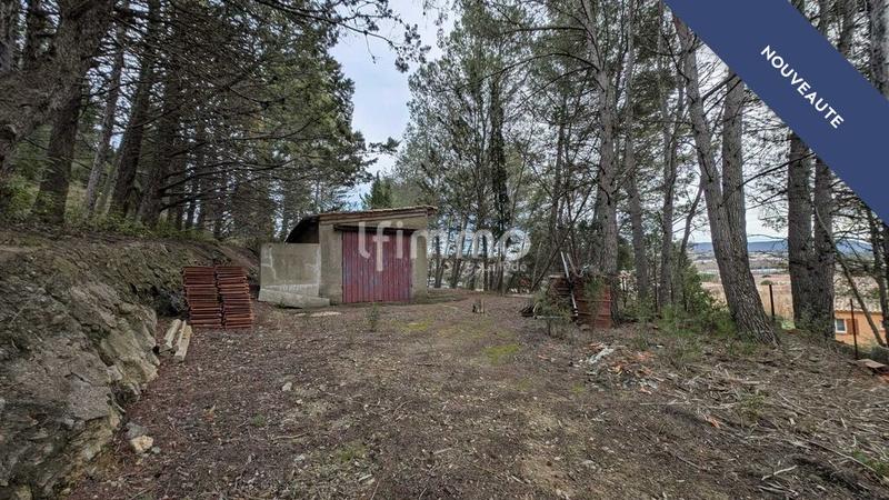 Terrain - 13 051 m²