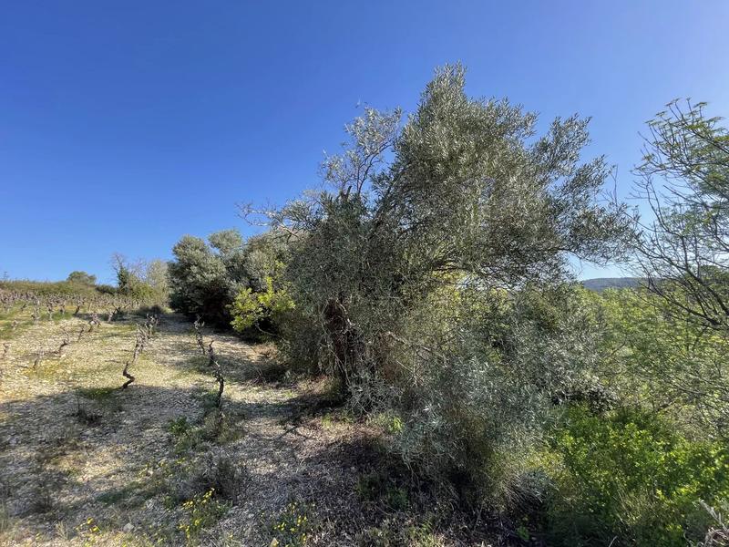Terrain - 48 670 m²