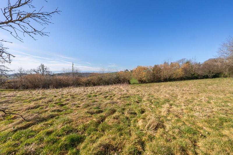 Terrain constructible - 1 254 m²