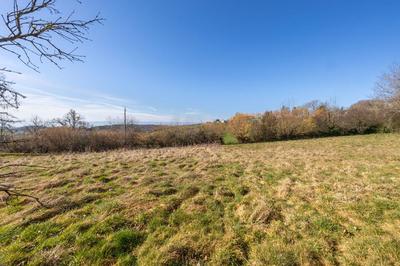 Terrain constructible - 1 254 m²