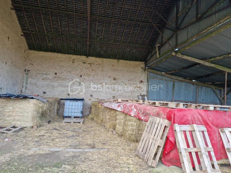 Propriété - 146 m² - 6 pièces