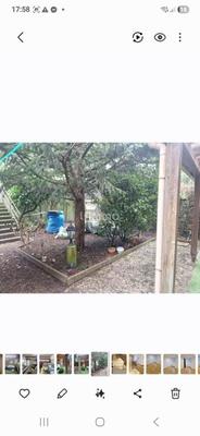 Maison de ville - 229 m² - 13 pièces