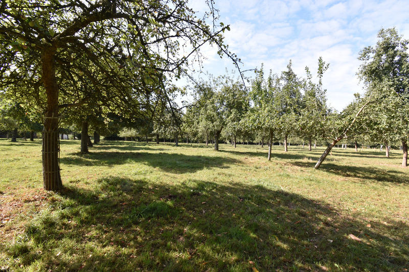 Propriété - 173 m² - 10 pièces